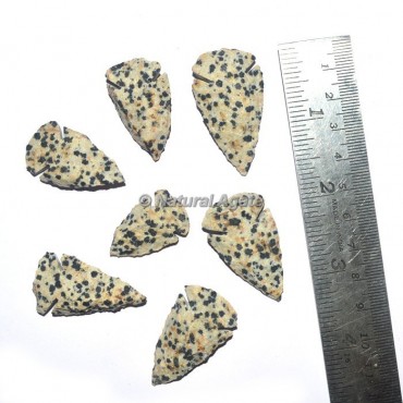 Dalmation Arrowhead
