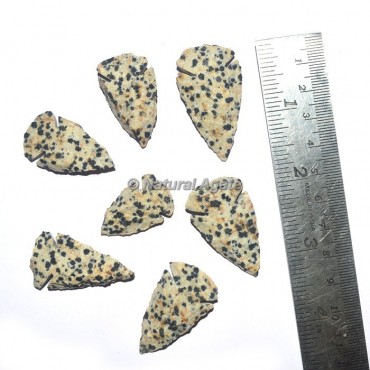 Dalmation Arrowhead