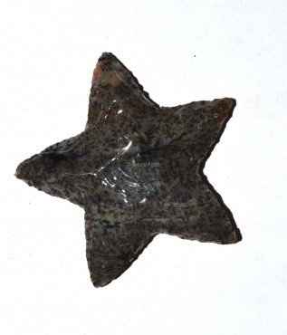 Polished Star Arrowheads