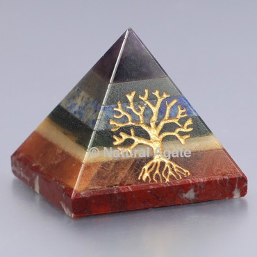 Seven Chakra Bonded With Tree Of Life