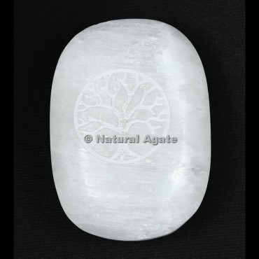 Tree Of Life Engraved Selenite Palm Stone