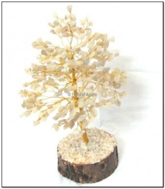 Crystal Quartz 300 PCs Chips Gemstone Tree