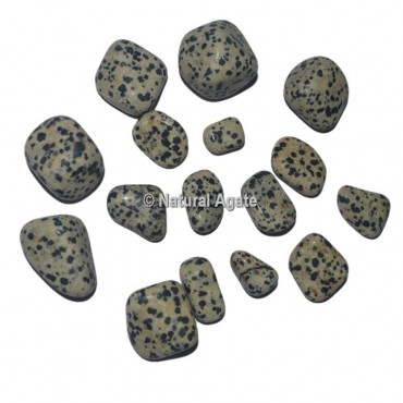 Dalmation Jasper Tumbled Stones