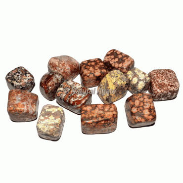 Leopard Jasper Tumbled